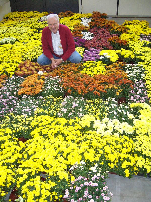 Munster 2009 155.jpg - Durch die Blume gesprochen  ( Blumenschmuck der Ausstellung)